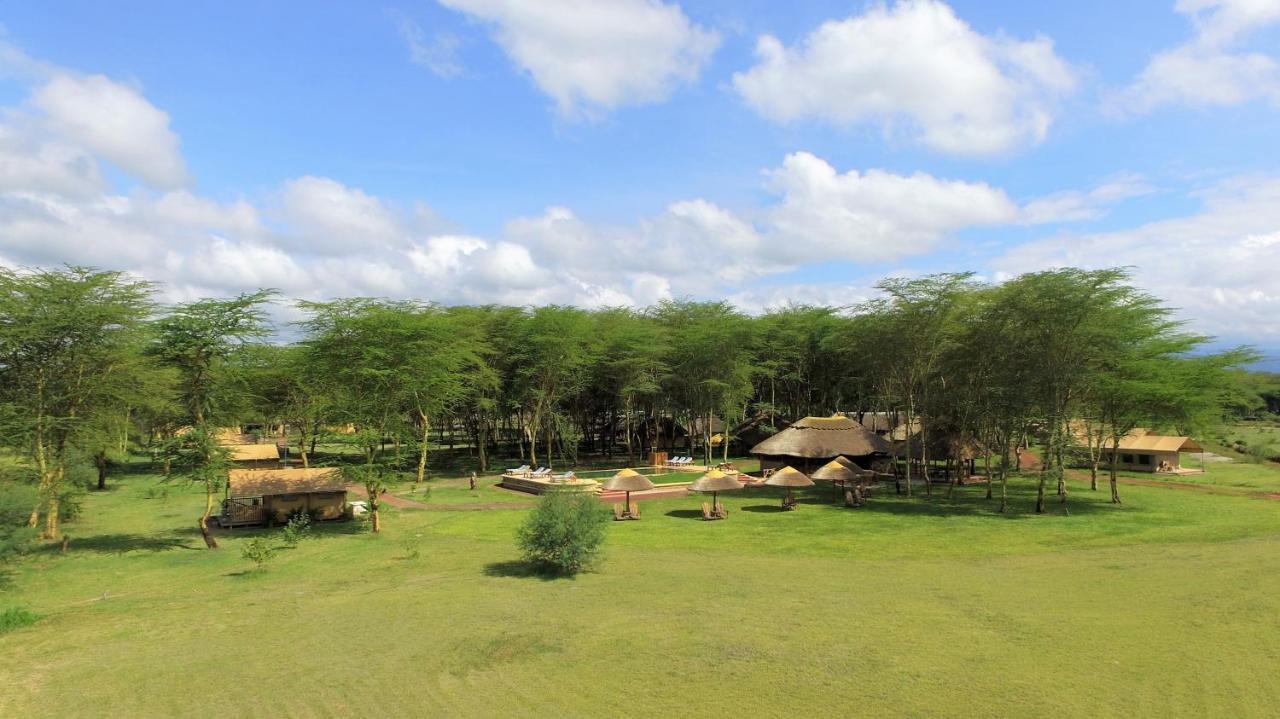 Africa Safari Lake Manyara Located Inside A Wildlife Park Mto wa Mbu Exterior photo